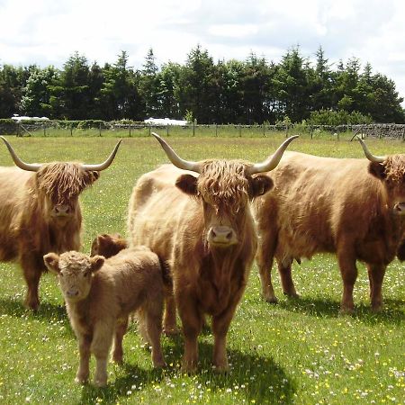 Smugglers Rock Country House Ravenscar Esterno foto