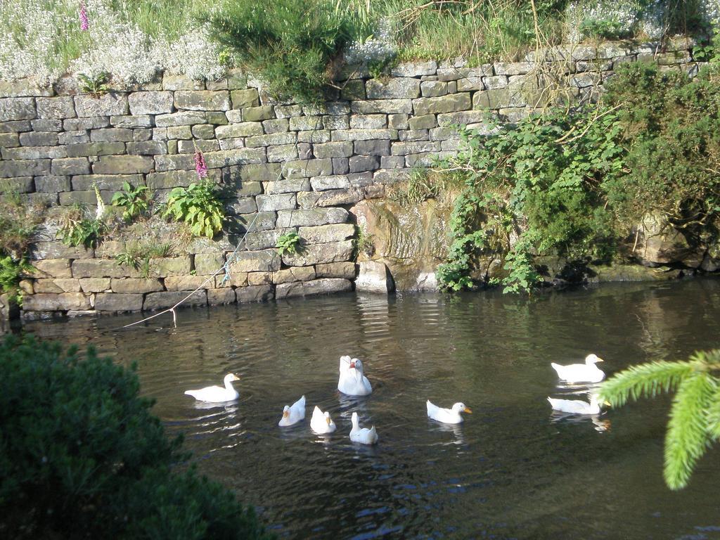 Smugglers Rock Country House Ravenscar Esterno foto