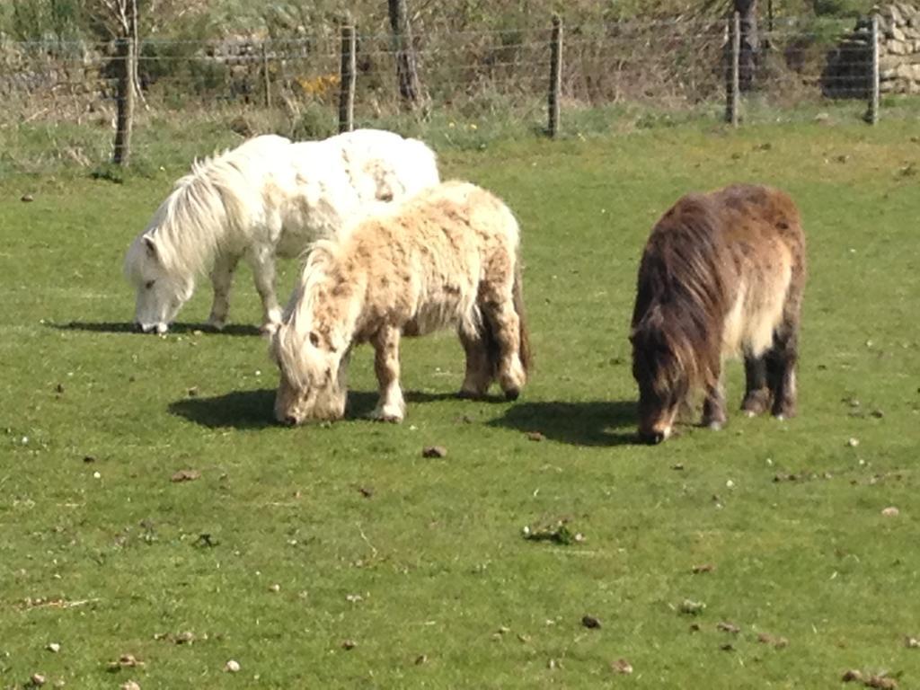 Smugglers Rock Country House Ravenscar Esterno foto